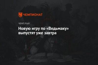 Создатели «Ведьмака» анонсировали Gwent: Rogue Mage — релиз 7 июля - championat.com - Россия