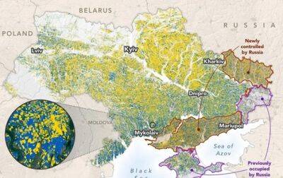 Оккупанты захватили 22% полей Украины - NASA - korrespondent - Россия - США - Украина