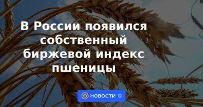 В России появился собственный биржевой индекс пшеницы - smartmoney.one - Россия - Новороссийск - Новороссийск