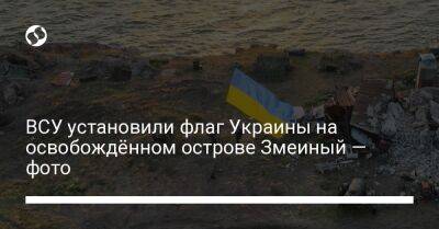 Сергей Братчук - ВСУ установили флаг Украины на освобождённом острове Змеиный — фото - liga.net - Украина - Одесса