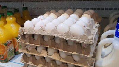 8 июля: в Израиле резко повысится цена на куриные яйца - vesty.co.il - Украина - Израиль