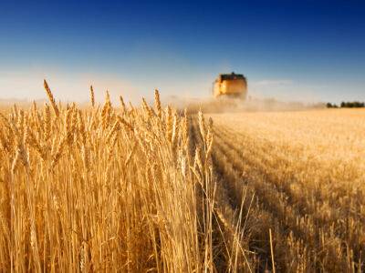 Тарас Высоцкий - В этом году Украина планирует собрать не менее 50 млн тонн зерна – Минагрополитики - gordonua.com - Россия - США - Украина - Англия - Румыния - Польша - Канада