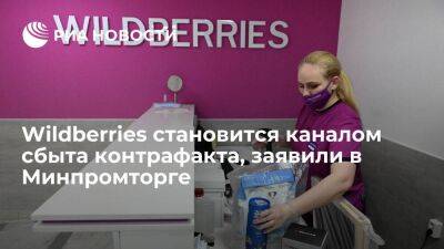 В Минпромторге заявили, что Wildberries готов предотвратить распространение контрафакта - smartmoney.one - Россия - Wildberries