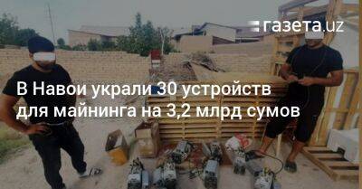 В Навои украли 30 устройств для майнинга на 3,2 млрд сумов - gazeta.uz - Узбекистан - Ташкент
