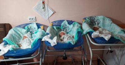 Впервые за 25 лет: в Днепре родилось трое необычных малышей, первые подробности и фото семейства - dnepr.politeka.net - Украина - Днепр