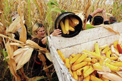 Reuters: цены на кукурузу и сою продолжают расти - smartmoney.one - Москва - Китай - США - Москва - Reuters