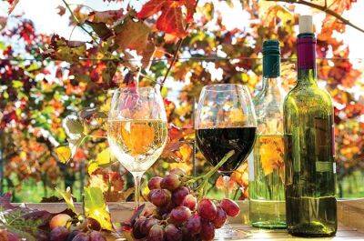 В Висбадене начинается «Неделя вина региона Рейнгау» - rusverlag.de