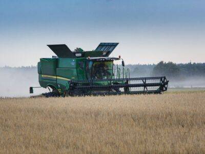 В Украине собрали почти 21 млн тонн зерна нового урожая, преимущественно пшеницы – Минагропрод - gordonua.com - Россия - Украина - Турция - Одесса - Черноморск - Одессы