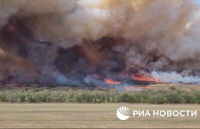Крупный пожар полыхает в районе деревни Терновое в ЛНР - ont.by - Белоруссия - ЛНР