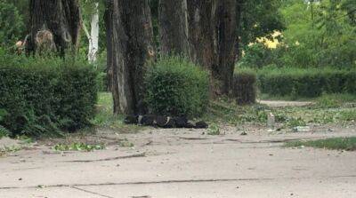 Оккупанты произвели не менее шести выстрелов по Энергодару, погиб работник ЗАЭС - ru.slovoidilo.ua - Украина