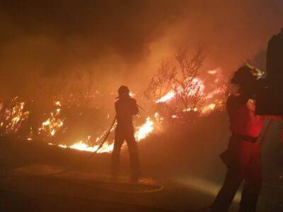 Северо-восток Испании охватили сильные лесные пожары - unn.com.ua - Украина - Киев - Египет - Испания