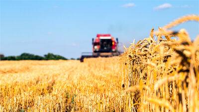 Ринок сільгоспземлі в Україні минулого тижня показав незначне зростання - bin.ua - Украина