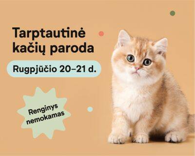 В Вильнюсе - международная выставка кошек - obzor.lt - Эстония - Польша - Литва - Вильнюс - Латвия - Vilnius
