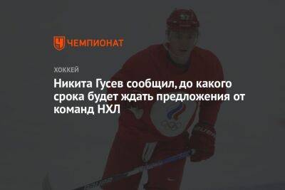 Никита Гусев - Никита Гусев сообщил, до какого срока будет ждать предложения от команд НХЛ - championat.com - Россия - Санкт-Петербург - шт.Флорида - шт.Нью-Джерси