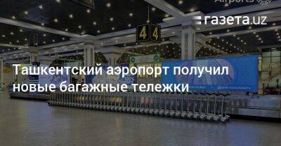 Ташкентский аэропорт получил новые багажные тележки - gazeta.uz - Узбекистан - Ташкент