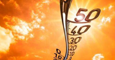 Горячий август: на 22 станциях метеонаблюдения установлены новые рекорды жары - rus.delfi.lv - Латвия