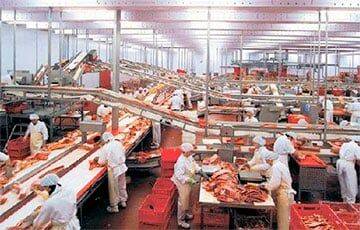 В Минске остановили работу двух предприятий по переработке мяса и рыбы - charter97.org - Белоруссия - Минск - район Первомайский, Минск