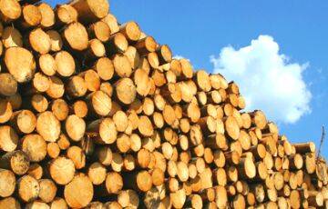 Власти не знают, кому продать белорусскую древесину - charter97.org - Россия - Китай - Белоруссия - Экология