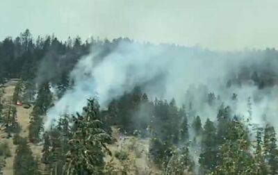 Канада - На западе Канады вспыхнул лесной пожар: население эвакуируют - korrespondent - США - Украина - Англия - Швейцария - Колумбия - Канада