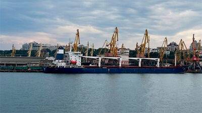 Marine Traffic - Перше судно з українським зерном прибуло до Стамбула - bin.ua - Украина - Росія