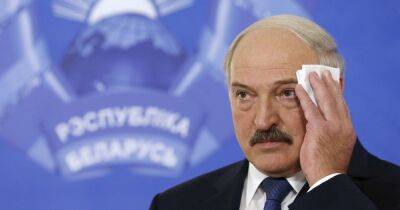 Александр Лукашенко - Михаил Подоляк - "Эта клоунада пропитана кровью": Подоляк отреагировал на поздравление Лукашенко - focus.ua - Россия - Украина - Белоруссия