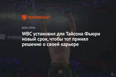 Александр Усик - Фьюри Тайсон - Маурисио Сулейман - WBC установил для Тайсона Фьюри новый срок, чтобы тот принял решение о своей карьере - championat.com - Лондон
