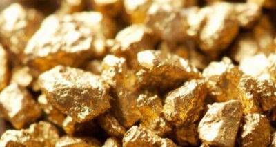 Мустафа Варанк - В Турции обнаружено месторождение золота стоимостью $80-100 млрд - dialog.tj - Турция