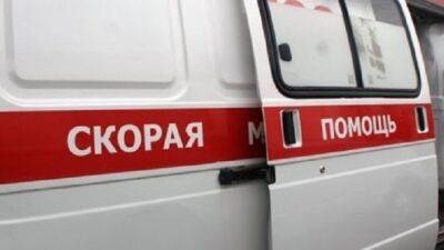 Два человека пострадали в ДТП в Нижнеломовском районе Пензенской области - usedcars.ru - Пензенская обл.