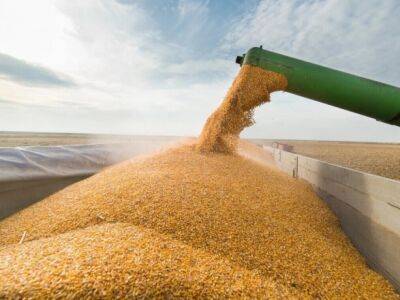 Дмитрий Патрушев - россия может сократить экспорт зерна на 50 млн тонн, если не достигнет целевого показателя урожая - unn.com.ua - Россия - Украина - Киев
