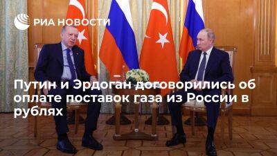 Владимир Путин - Тайип Эрдоган - Александр Новак - Новак: Путин и Эрдоган договорились о частичной оплате поставок газа из России в рублях - smartmoney.one - Россия - Турция