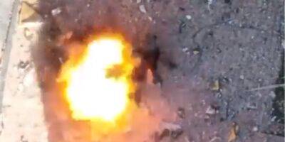 Украинские десантники сбросили фугас на скопление российских солдат — видео - nv.ua - Россия - Украина