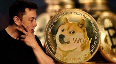 Илон Маск - Dogecoin вылетел из топ-10 криптовалют. В чем причина - minfin.com.ua - Украина