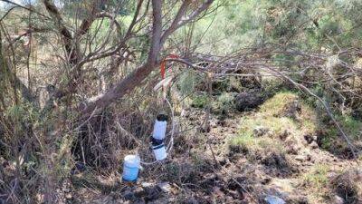 Зараженные комары обнаружены в долине Звулун, специалисты призывают население принять меры - vesty.co.il - Израиль - Экология