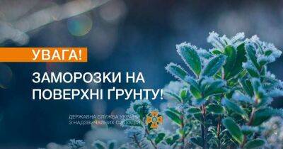 У низці українських областей оголосили штормове попередження - lenta.ua - Украина