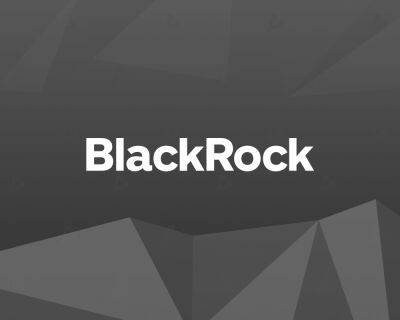 BlackRock запустит ETF на связанные с метавселенными компании - forklog.com
