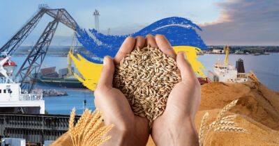 Александр Кубраков - В Кабмине рассказали, сколько зерна уже экспортировали из портов Украины - ru.slovoidilo.ua - Украина - Николаев - Турция - Одесса