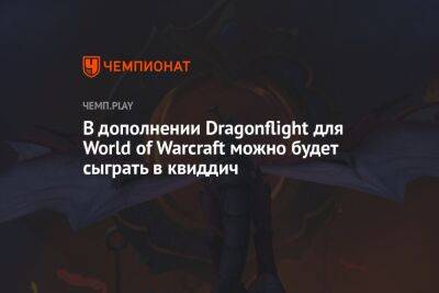 Гарри Поттер - В дополнении Dragonflight для World of Warcraft будет аналог квиддича из «Гарри Поттера» - championat.com