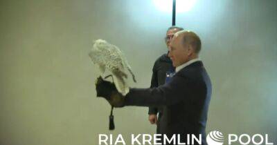 Владимир Путин - Пропагандисты Кремля показали, как Путин держал на руке сокола: птица все же решила улететь прочь (ВИДЕО) - dsnews.ua - Россия - Украина - Япония