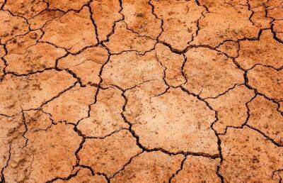 Глобальный ущерб от засухи в первой половине 2022 года достиг $13,2 млрд – СМИ - ont.by - Белоруссия